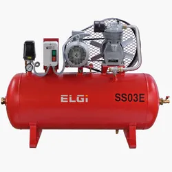 ELGi belt-driven piston compressor on receiver